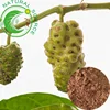 Factory Supply Top Quality Natural Organic Extract Noni Fruit Powder With Bulk Price