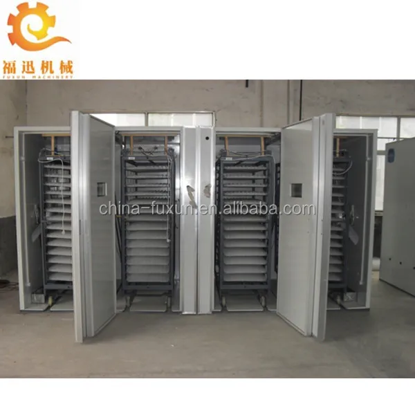 best incubator for parrot eggs best incubator for parrot eggs