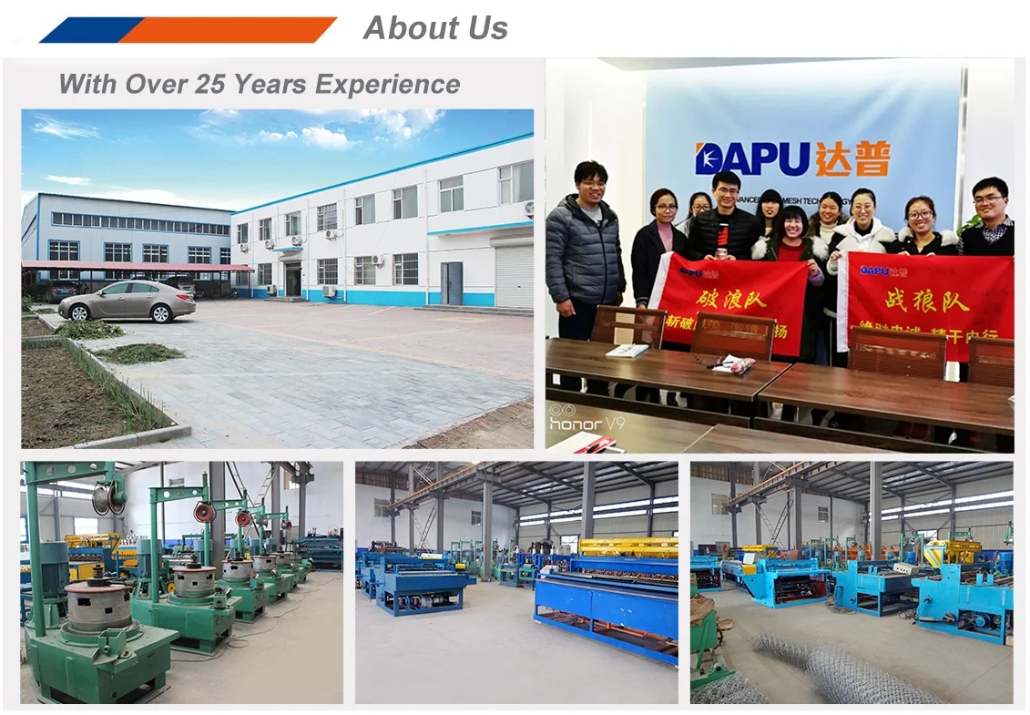 manufacturer 4mm12mm iron wire straight and cutting machine with OEM service
