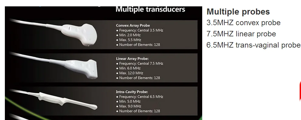 12 Inch Monitor Veterinary Patient Monitor Vet Monitor