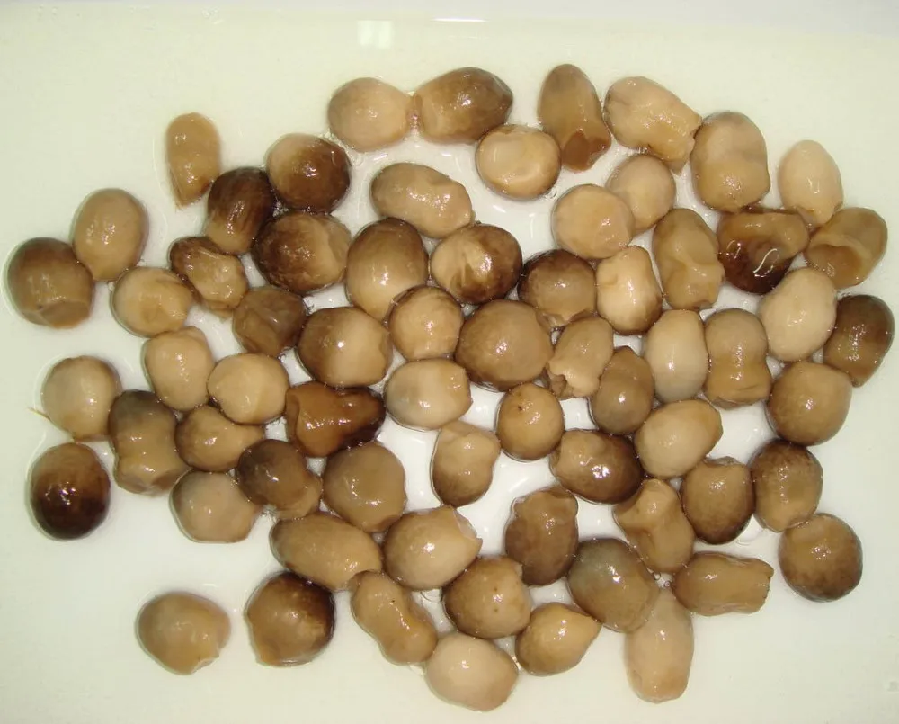 canned straw mushroom - buy best canned mushrooms,whole straw