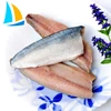 Healthy food excellent flavor fresh raw material frozen mackerel fillet