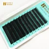 Big Eye's Secret Korean PBT Material Volume Individual Lashes Eyelash Extensions Silk Free Shipping