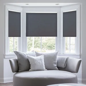 Image of Manual Chain Control Horizontal Indoor Wholesale Blackout Sunscreen Window Roller Blind Shade