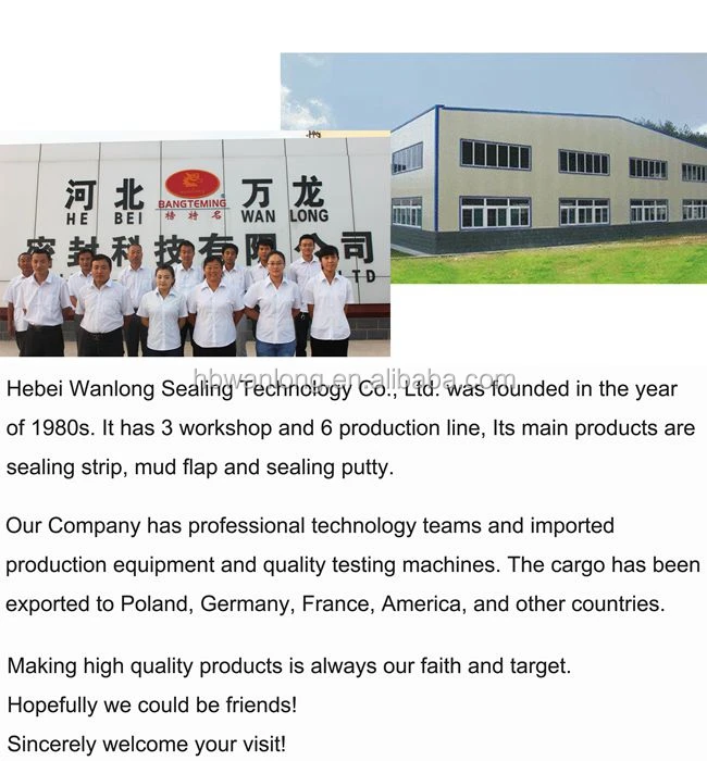 company view.jpg