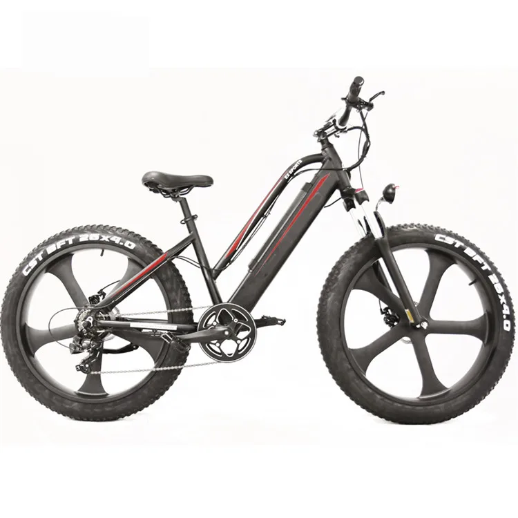 electric bikes cost