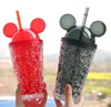 Fashionable double straw Mickey Mouse 16 oz. Insulated Tumbler With Straw