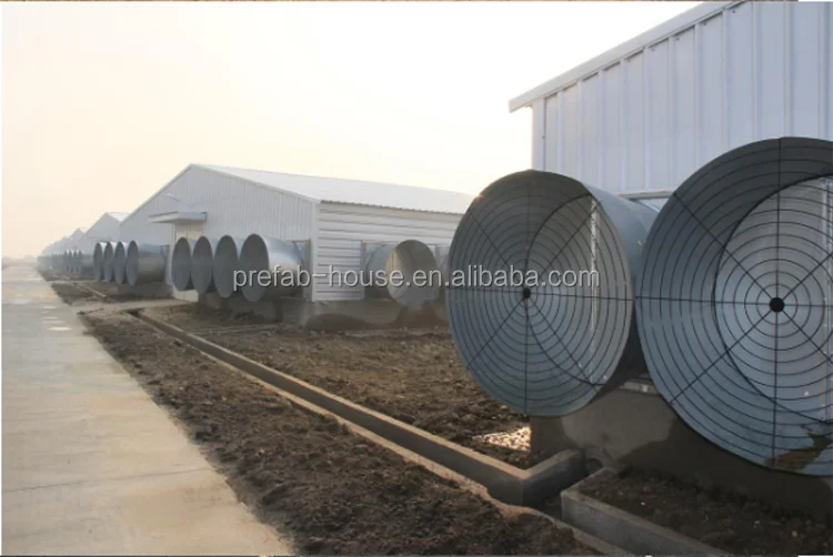 Steel Structural Glass Wool Dairy Farming Shed Designs