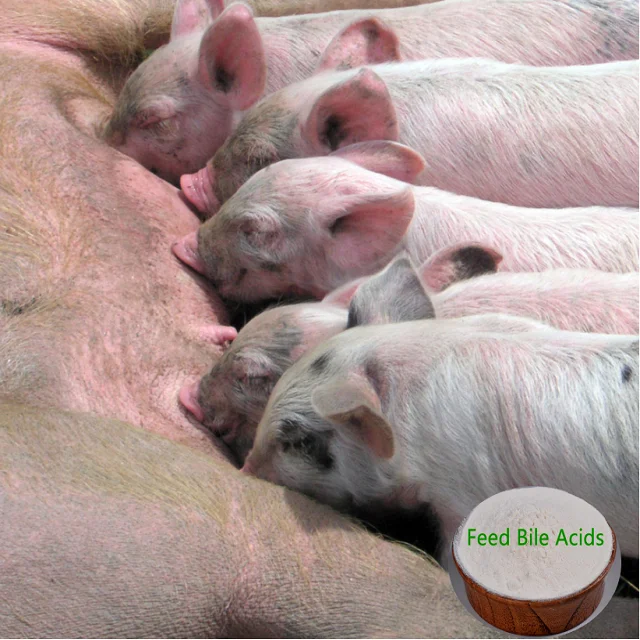 Fat Emulsifier For Pig Feed Additives Buy Fat Emulsifier For Pig Feed