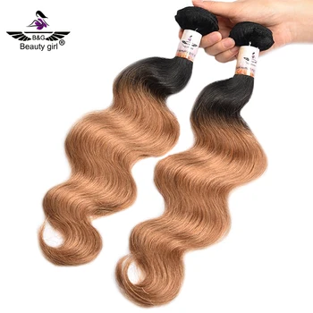 New Arrival Human Hair Extensions Dreadlocks 1b 27 Ombre Southeast