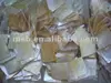 Gold yellow lip mop shell blank for furniture decor