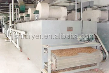
DW Series Mesh-Belt Drying machine for drying piece of banana 