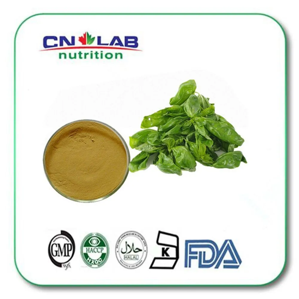 100 Natural Basil Leaves Extract,Basil Leaves Powder,Basil Leaves