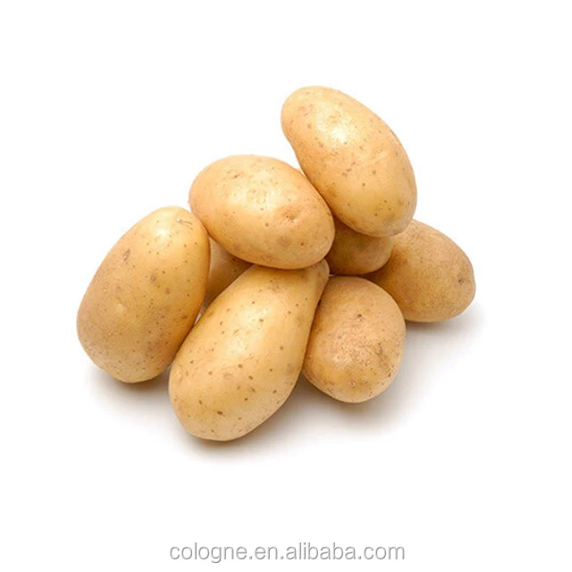 potato009