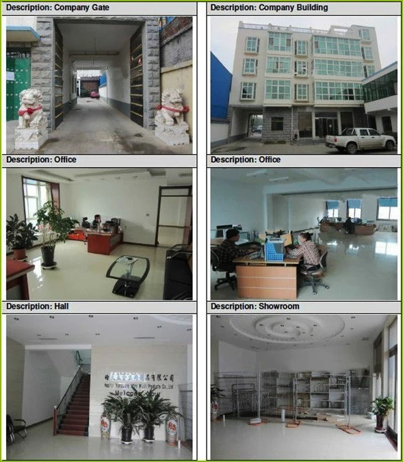 company building.jpg