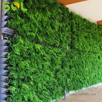 

Outdoor Decor Garden Vertical Garden Living Green Wall System Hanging Plastic Pots For Plants For Vertical Garden