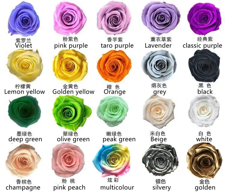 Real Ecuador Preserve Roses Fresh Cut Flower From Yunnan - Buy Wedding ...