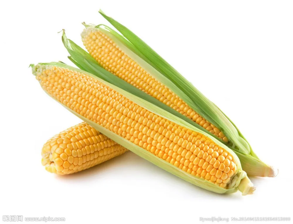 Maize Bran / Corn Bran / Corn Gluten Feed Buy Maize Bran,Corn Bran