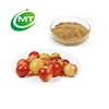 ISO factory supply Camu Camu extract fruit powder