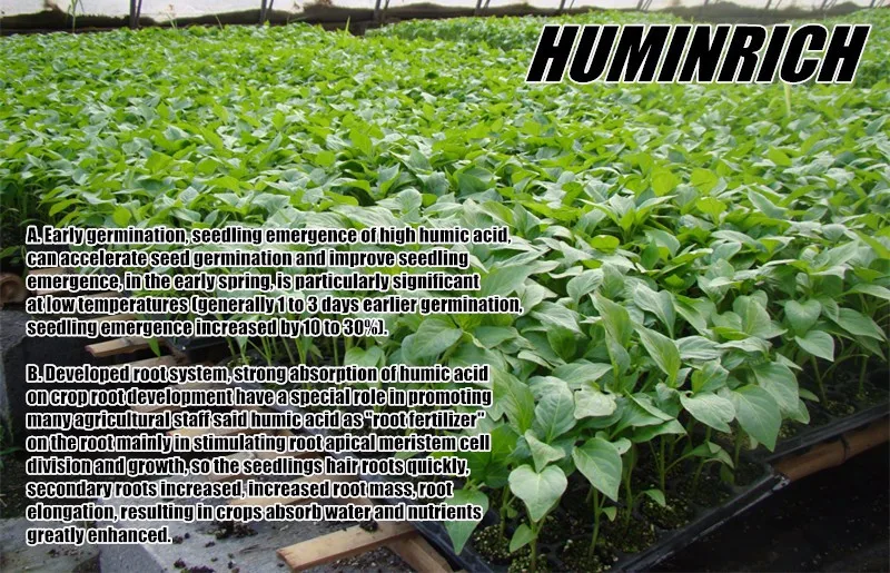 Liquid Fertilizer.jpg