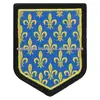Gold Metallic Patch | Scouts Patch