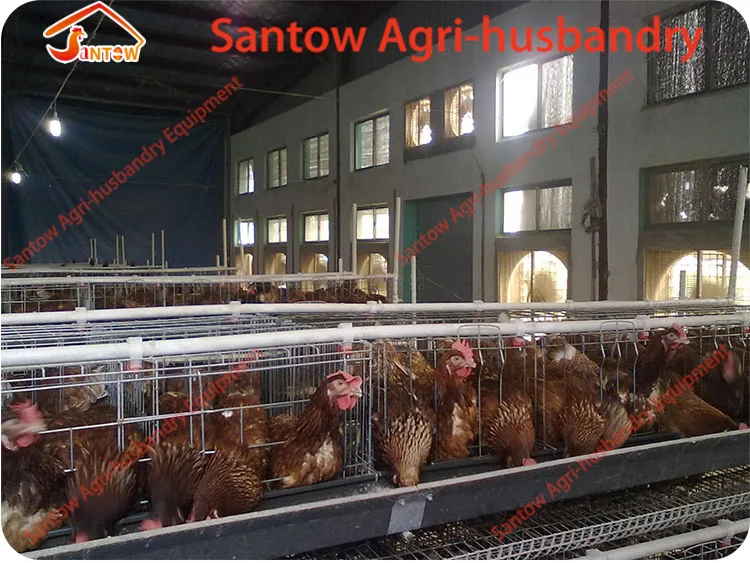 Download 4 Tier Chicken Layer Cages Price 120 Birds Battery Cage ...