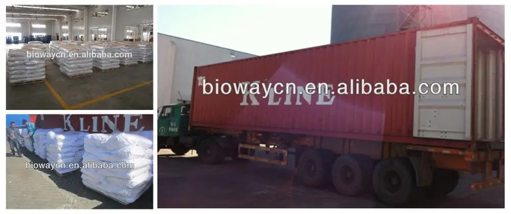 
Bulk and Wholesale Organic Pea Protein Isolate 