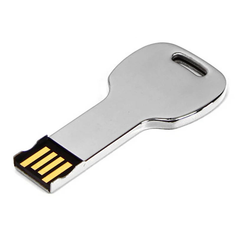 

Factory Metal Key Usb Flash Drive Pendrive 1GB For Cooperation Gift