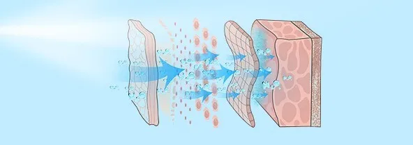 Beauty Equipment Organic Nano White Spray Mist For Face Beauty Equipment