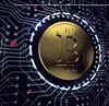 BitcoinCooldragon Mining Farm Hosting with Stable and Continuous Electrical Resources