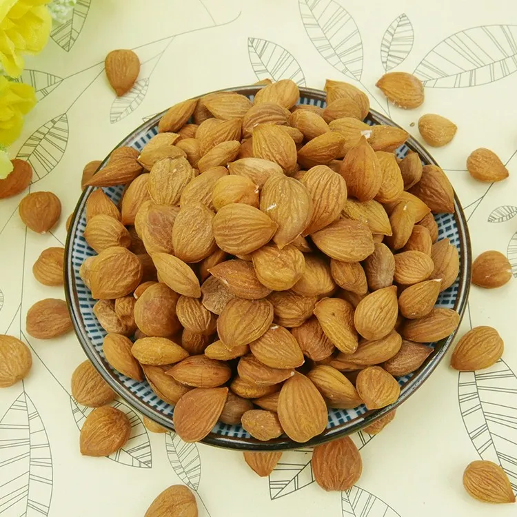 wholesale Chinese Apricot Kernels almonds for sale