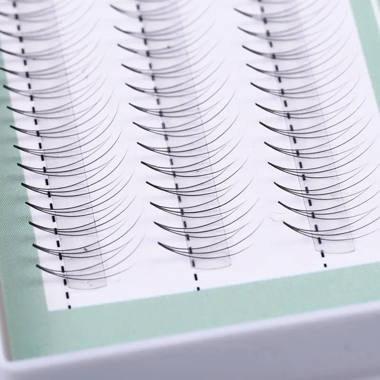 
Lashbeauty Professional Makeup Tools Private Label Premade 3D Volume Fans Eyelash Extension 