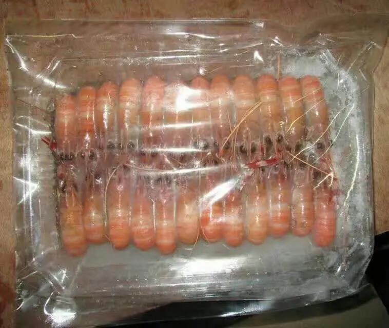 Tasty sea prawn shrimp In A Large Number Of Varieties 