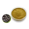 Great Burdock Root Powder Extract/Burdock Seed Extract/Burdock Seed Extract Powder