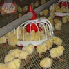 Wholesale Automatic Chicken Feeder for Broiler Poultry Drinking System