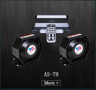T9.jpg