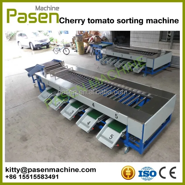 chestnut sorting machine.jpg