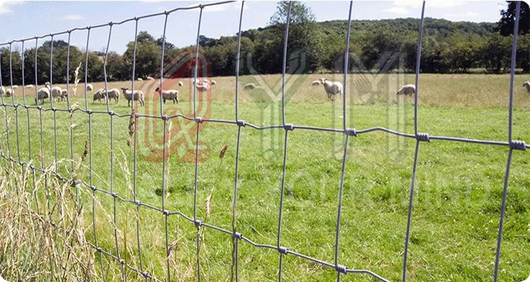 cow fence wire