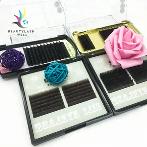 Premade volume fans 3d eyelashes extension silk professional kit private label