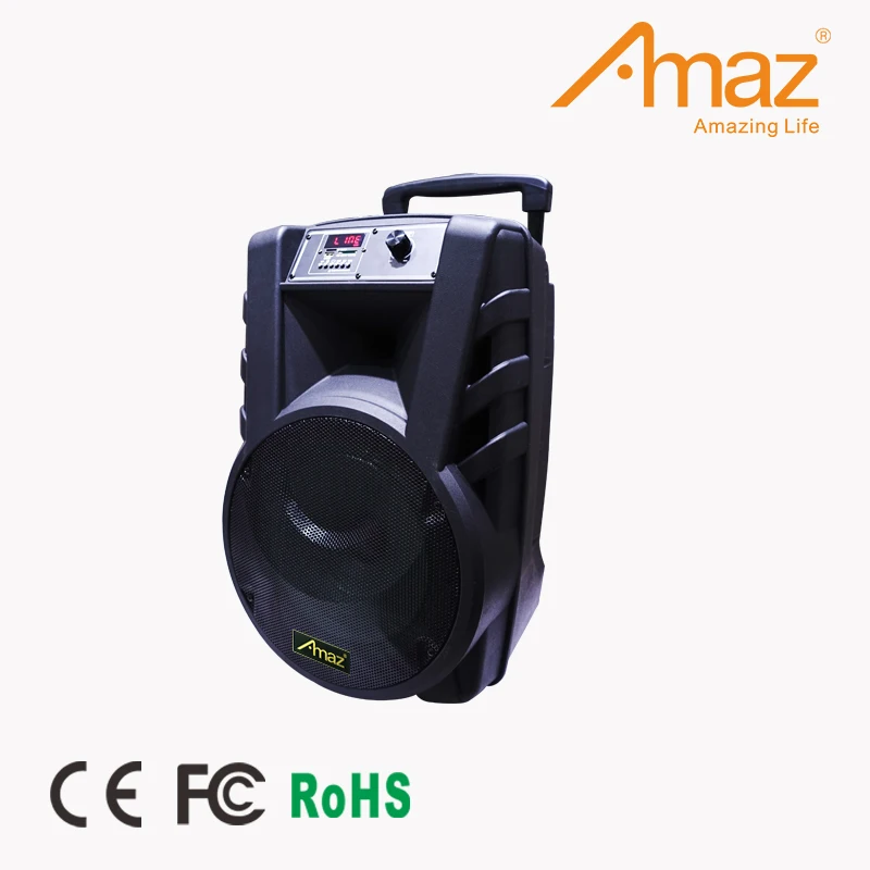 12 Inch Blg Audio Speaker High Quality Portable Sound