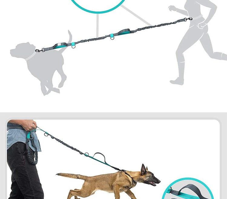 Custom Logo Running Elastic Bungee Hand Free Lead Pet Dog Leash With 2 Handles