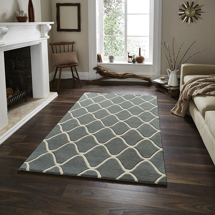Custom rugs Modern Design hand tufted home use carpet rugs