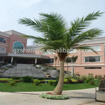 Ornamental Plants Artificial Coconut Palm Trees For Sale Buy Palmeira Plantas Ornamentais De Coco Palmeira Trees For Sale Arvore De Coco Artificial Palmeira Artificial Arvore Artificial Palmeiras Para Venda Product On Alibaba Com