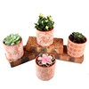 Personalized modern style mini cheap bulk home decor pot / ceramic planter for garden decoration