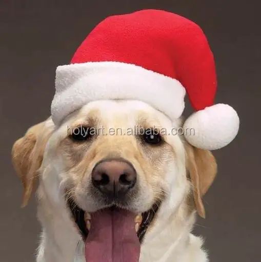 colored santa hats