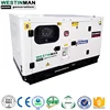 Alibaba Top Supplier 25KVA Soundproof Diesel Generator Set China Brand CHAIWEI 20KW Generator with Trade Assurance