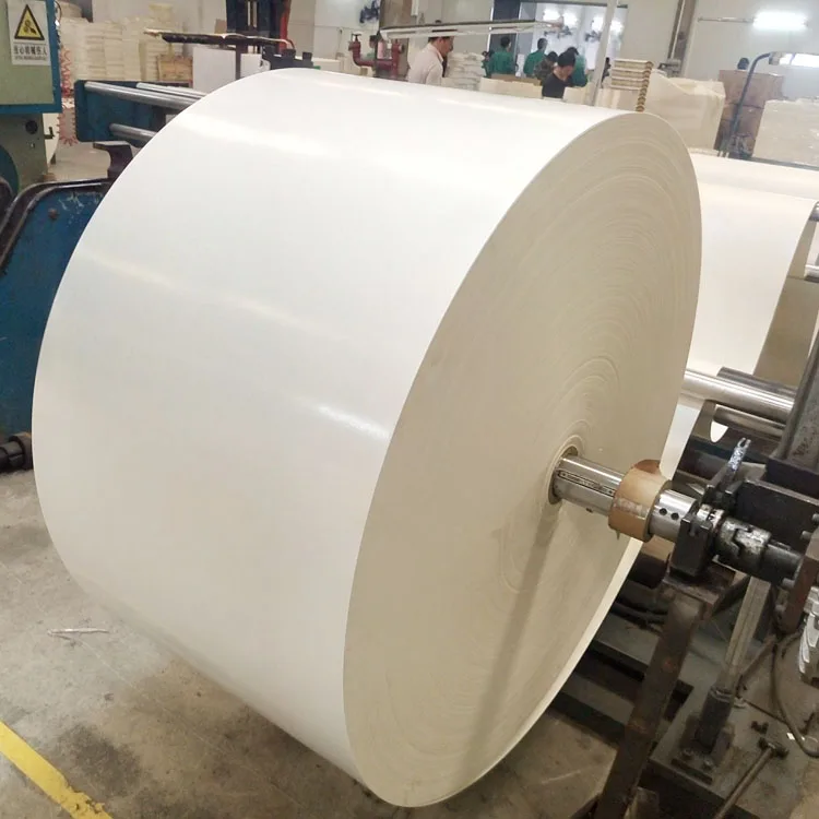 
Direct Factory Price Single Sided PE Coated Paper 240GSM 250GSM 280GSM Cup Stock Paper Roll 