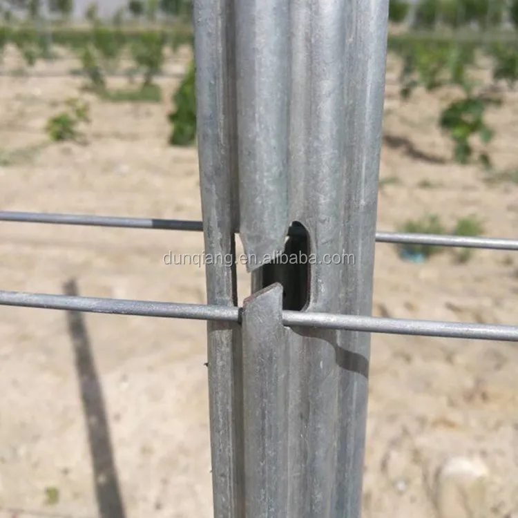vineyard post (7).jpg