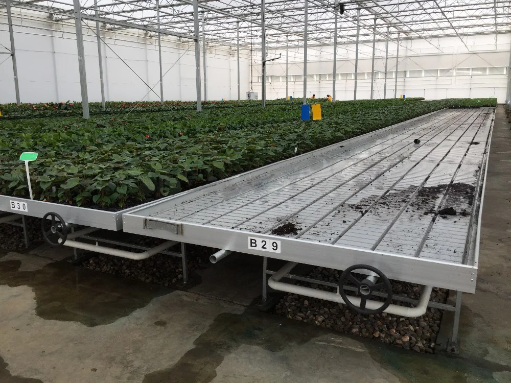 Hydroponic Rolling Benches For Commercial Greenhouse Grow Table Buy