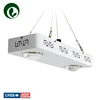 indoor led high lumen panel Apollo COB 2 band 200w commercial led grow light for tents